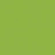 Карандаш цветной COLOURSOFT цв.№C450 желто-зеленый по 215.00 руб от Derwent