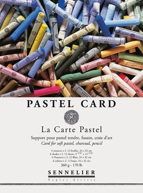 Альбом для пастели PASTEL CARD 360г/кв.м 240х320мм 12л 6цв. по 3 486.00 руб от Sennelier