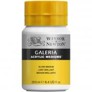 Медиум глянцевый WINSOR&NEWTON, банка 250 мл от Winsor&Newton по 929.00 руб Медиум глянцевый WINSOR&NEWTON, банка 250 мл по 929.00 руб от Winsor&Newton