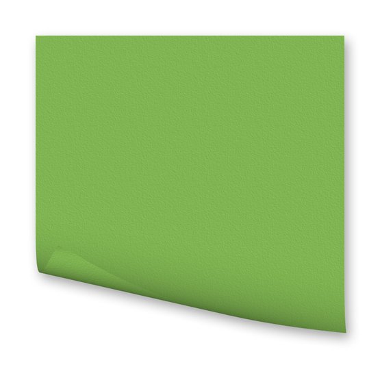 Бумага цветная 300г/кв.м 500х700мм светло-зеленый по 118.00 руб от Folia Bringmann