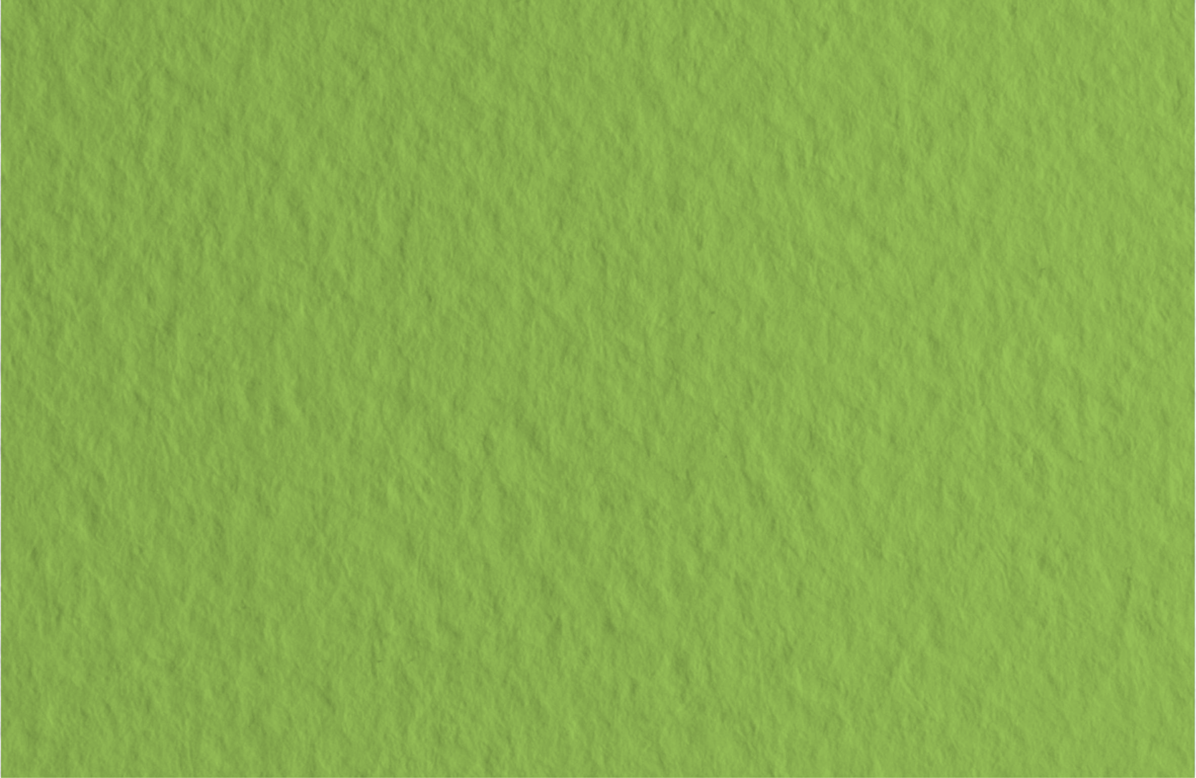 Бумага для пастели TIZIANO 160г/кв.м 500х650мм цв.№14 зеленый мох по 124.00 руб от Fabriano