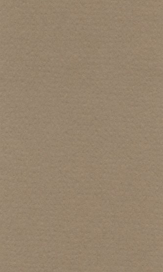 Бумага пастельная COLOURS 160г/кв.м (А3) 297х420мм цв.№185 светло-коричневый по 64.00 руб от Lana