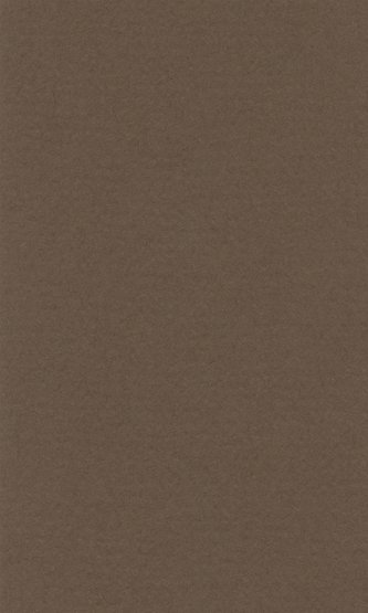 Бумага пастельная COLOURS 160г/кв.м (А3) 297х420мм цв.№186 темно-коричневый по 77.00 руб от Lana