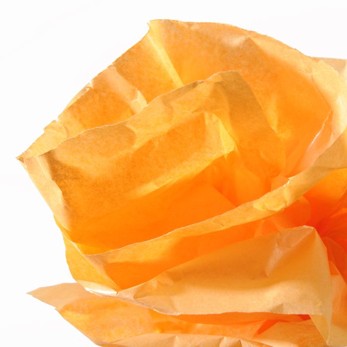 Бумага тишью цветная PAPIER de SOIE 20г/кв.м 500х5000мм в рулоне цв.№058 оранжевый по 99.00 руб от Canson