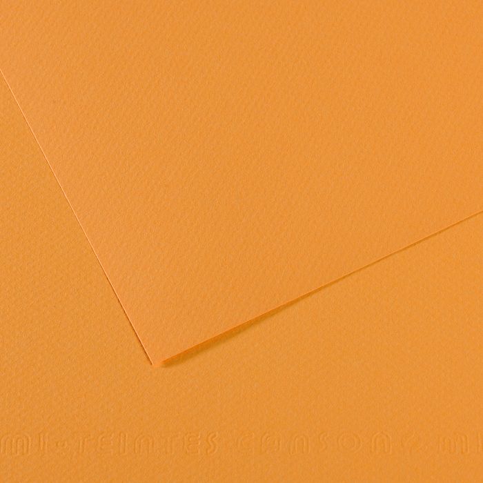 Бумага для пастели MI-TEINTES 160г/кв.м (А4) 210х297мм цв.№374 сиена по 20.00 руб от Canson