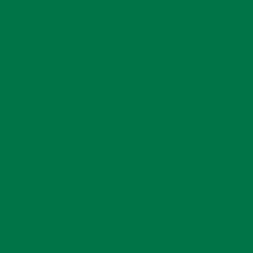 Краска по шелку DECOLA цв.№722 зеленый средний банка 50мл по 92.00 руб от ЗХК Невская палитра