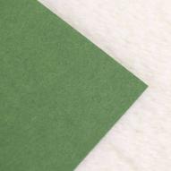 Бумага цветная 300г/кв.м (А4) 210х297мм зеленый мох по 35.00 руб от Folia Bringmann