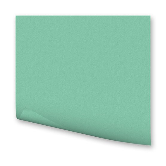 Бумага цветная 300г/кв.м (А4) 210х297мм мята по 35.00 руб от Folia Bringmann