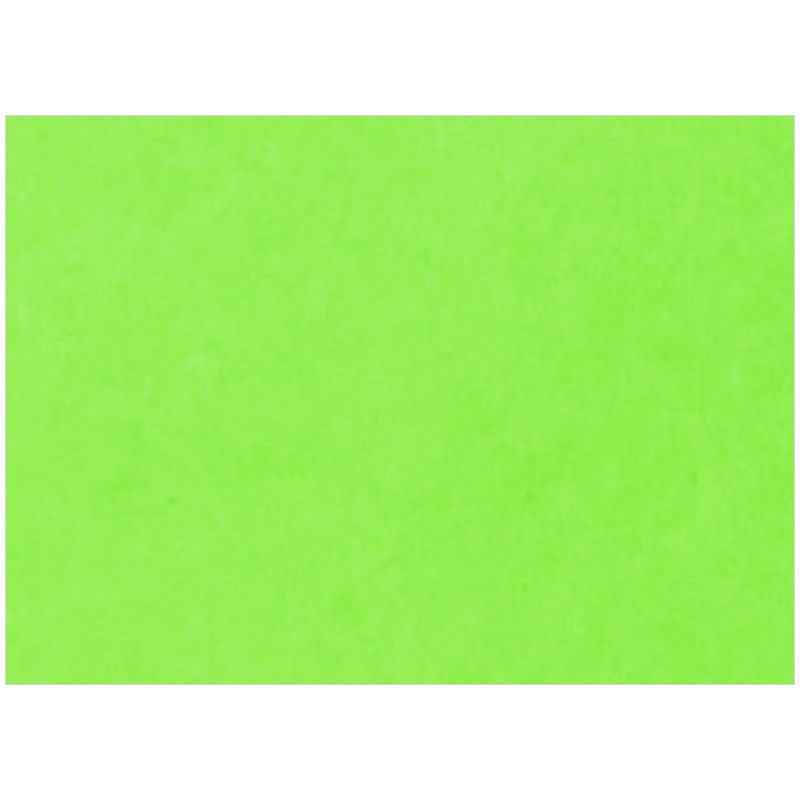 Картон тонированный 200г/кв.м 420х594мм зеленый по 1 600.00 руб от Лилия Холдинг