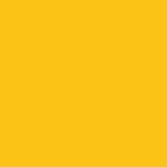 Бумага цветная 300г/кв.м (А4) 210х297мм желтый золотистый по 35.00 руб от Folia Bringmann
