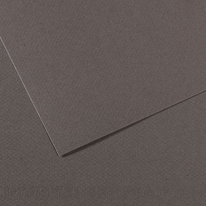 Бумага для пастели MI-TEINTES 160г/кв.м (А4) 210х297мм цв.№345 серый темный по 23.00 руб от Canson