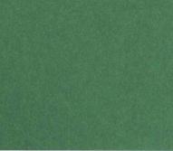 Бумага цветная 300г/кв.м (А4) 210х297мм зеленый еловый по 29.00 руб от Folia Bringmann