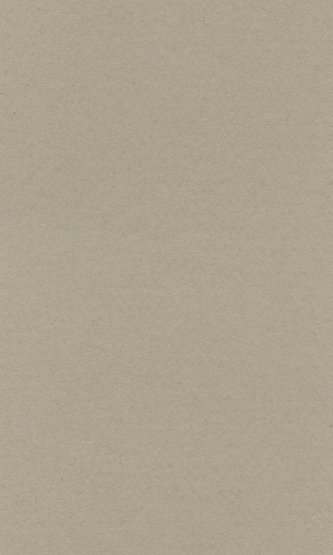 Бумага пастельная COLOURS 160г/кв.м (А3) 297х420мм цв.№189 жемчужный по 77.00 руб от Lana