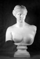 Гипсовая фигура бюст Венеры милосской, 85см по 10 119.00 руб от Статуя